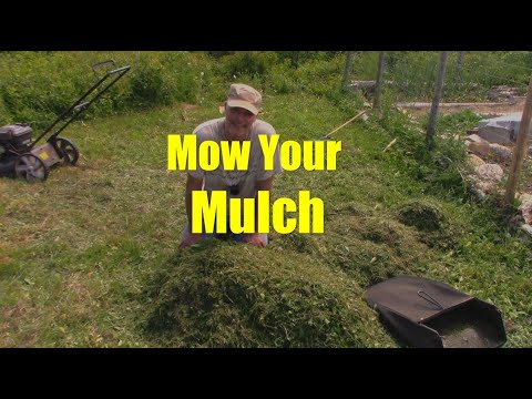 A Mulching Tool That You Already Have
