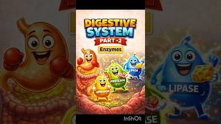 Digestive System Rap 💥 | Enzymes Explained in 50 Seconds | Fun Science Animation #science #biology