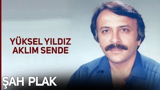 Yüksel Yıldız - Üzüm Kol Atmış [Şah Plak]