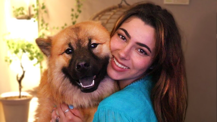 8 MESI CON IL NOSTRO CANE - CHEDDAR