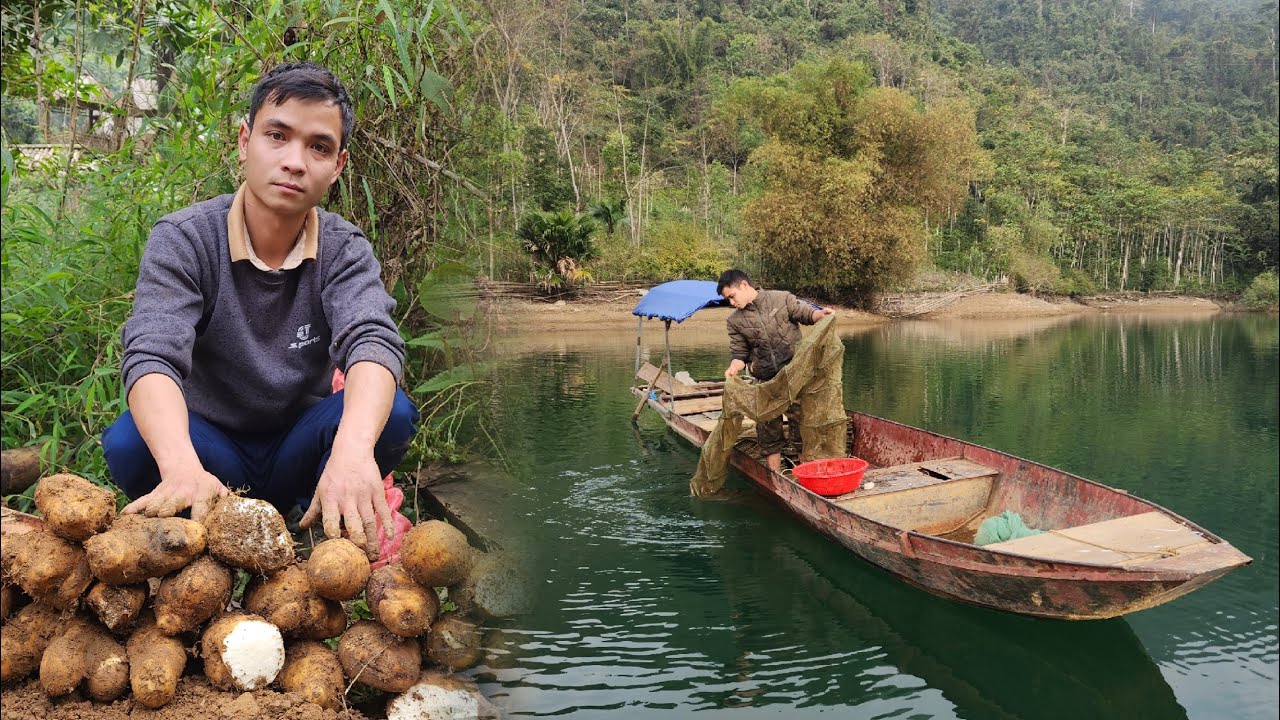 Harvesting shrimp and yams, cooking a delicious meal in the forest, living alone in the countryside.