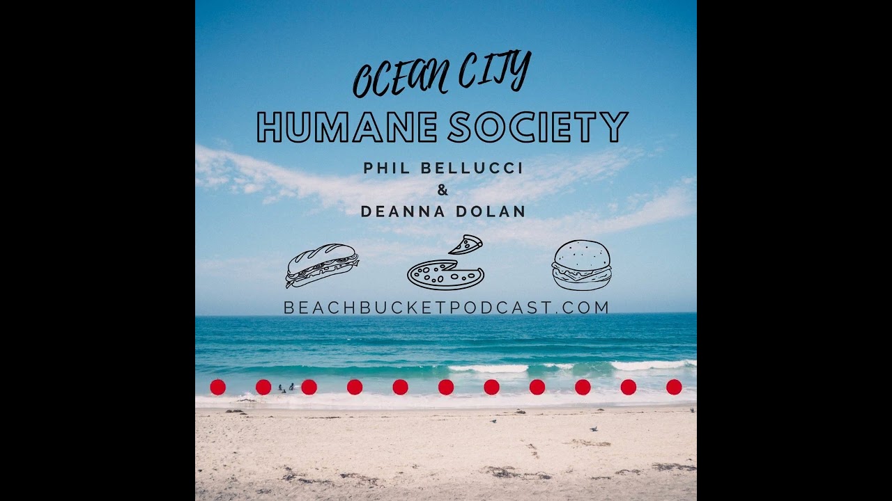 Humane Society of Ocean City   Let the Dog Rescue You
