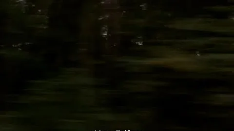 Lecx Stacy - Winter, A Wilted Flower (lyric video)