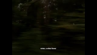 Download Lagu Lecx Stacy - Winter, A Wilted Flower (video lirik) MP3 Download Lagu Lecx Stacy - Winter, A Wilted Flower (video lirik) MP3