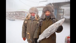 "Arctic Adventures: Top 10 Coldest Countries in the World Revealed! ❄️"