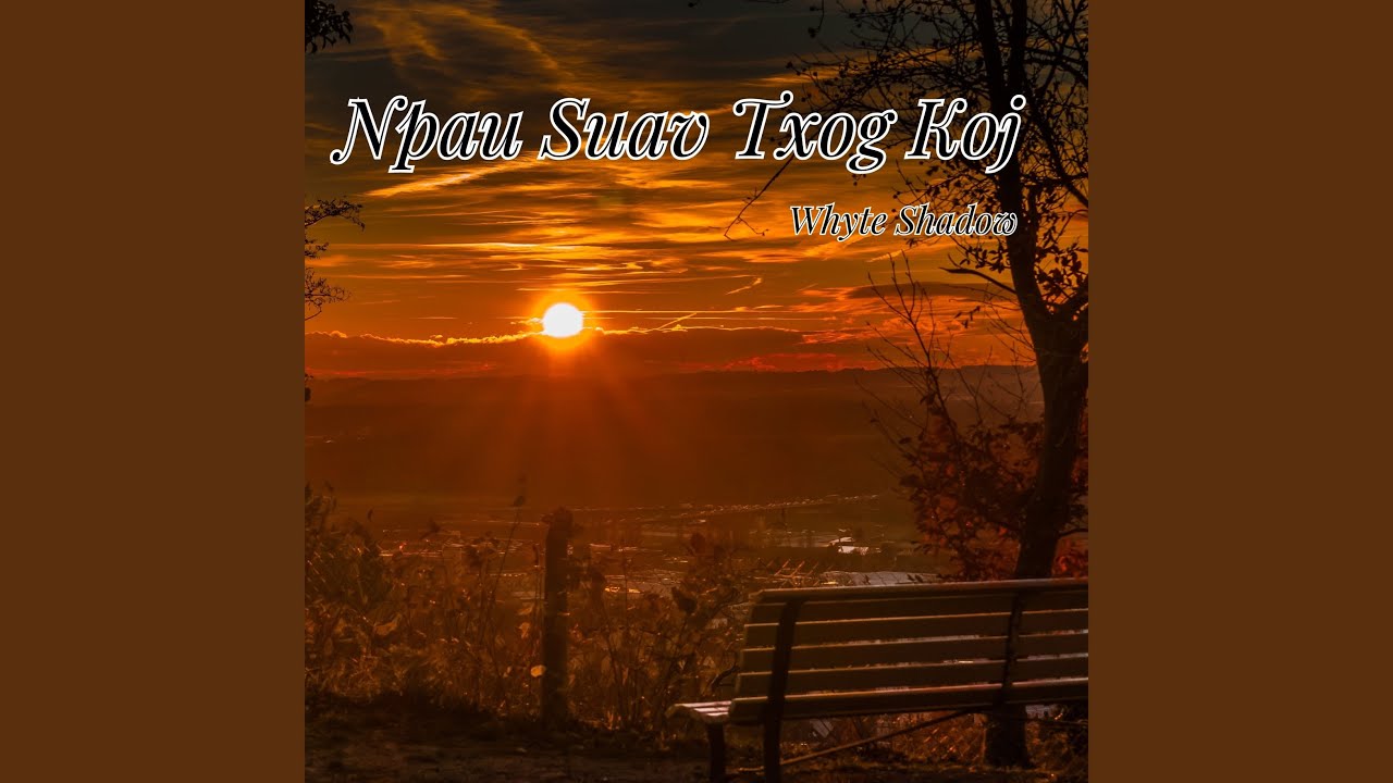 Npau Suav Txog Koj
