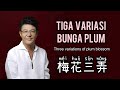 梅花三弄 Mei Hua San Nong 姜育恒 Tiga Variasi Bunga Plum Three Variations Of Plum Blossom 梅花三弄 Mei Hua San Nong 姜育恒 Tiga Variasi Bunga Plum Three Variations Of Plum Blossom