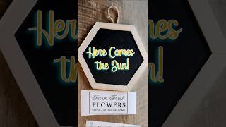 Rub-on Transfer Ideas 💡🌞 ☀️ #dollartree #crafts #crafting #diy #fypシ #viral #fypシ゚viral #craftideas