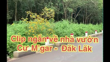 Cư M’gar - Đăk Lăk