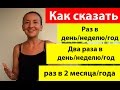 Как сказать по английски 1 раз в день/ 2 раза в день/ 1 раз в 2 дня. Английский язык