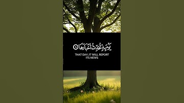 القران الكريم ياسر الدوسري صوت عذب وجميل #القرآن #المصحف #القرآن_الكريم