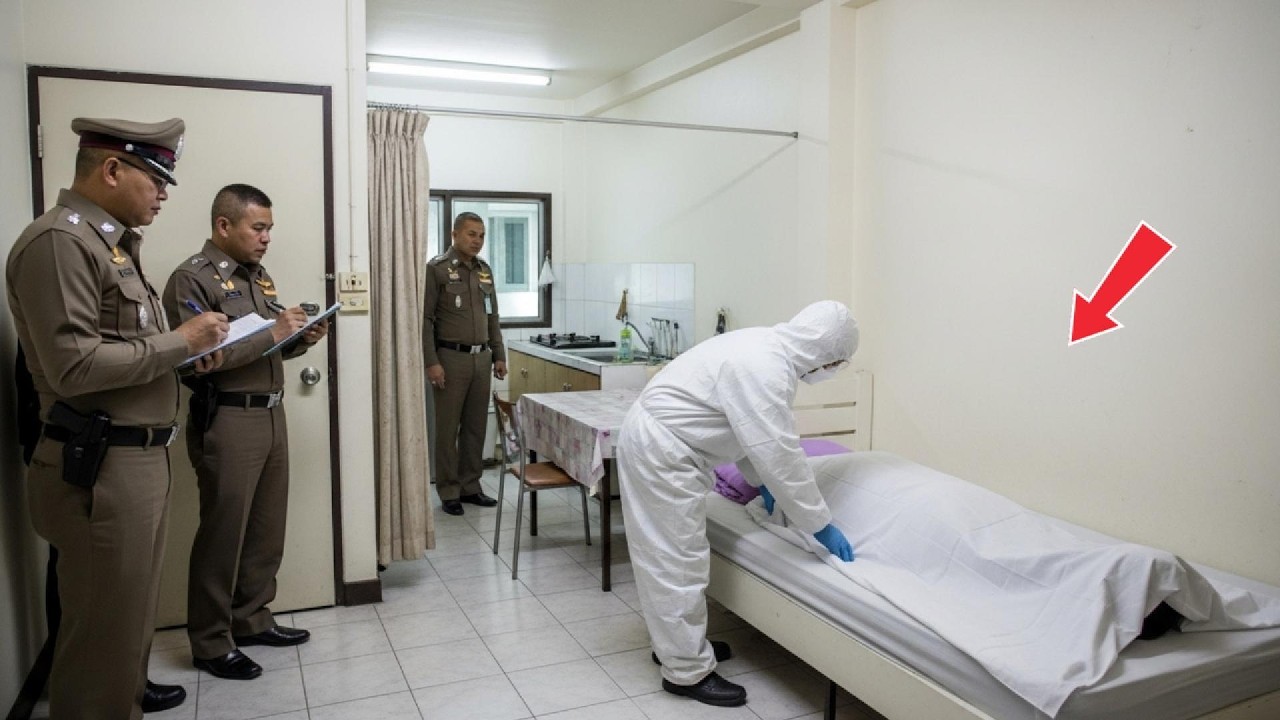 คดีฆาตกรรมสมบูรณ์แบบ? พยาบาลสาวซ่อนเข็มพิษ...ฆ่าแฟนใหม่ของคนรักเก่า 💉