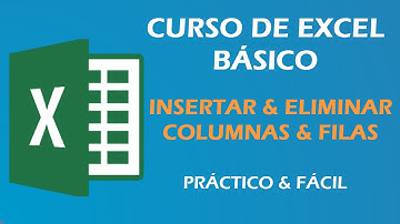 Curso de Excel Básico 2013: Insertar y Eliminar Filas o Columnas en Excel