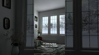 Transform Any Room With Stunning 4K Window Projections Cozy & Realistic Scenes