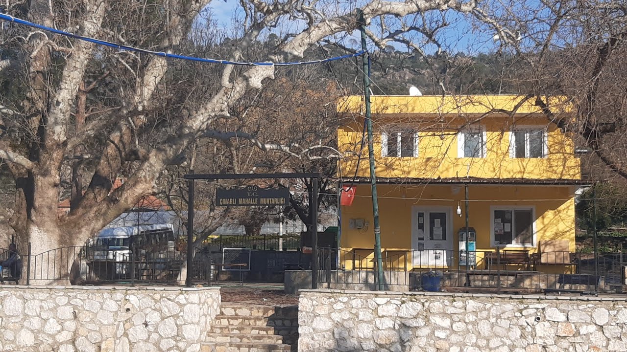 Milas çınarlıköyü