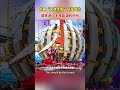 Medical Silk Road: Silk Into Human Repair Material太神奇！蚕丝做成人体修复片，我国科研再获突破