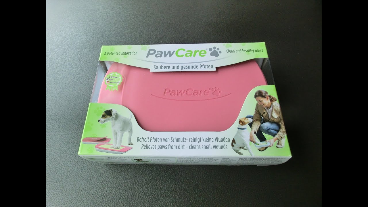 Amber Toy Poodle - Paw Care