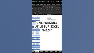 Une Formule utile sur Excel : NB.SI #excel #apprendreexcel #data #exceltips #finance #comptabilité