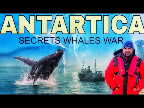 Antarctica S Secrets Whales War Great Survival Story Pole To Pole Ep 6