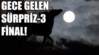 GECE GELEN SÜRPRİZ BÖLÜM 3 FİNAL - KORKU HİKAYESİ - KORKU HİKAYELERİ - CİN MUSALLATI