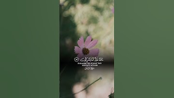 #قرآن #أية«قل الحمد لله وسلام على عباده الذين إصطفى»#قران_كريم#kuran #راحة_نفسية#اكسبلور #duet #سورة