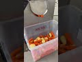 No need to rub potatoes by hand or peel them with a knife, this machine handles peeling and washing
