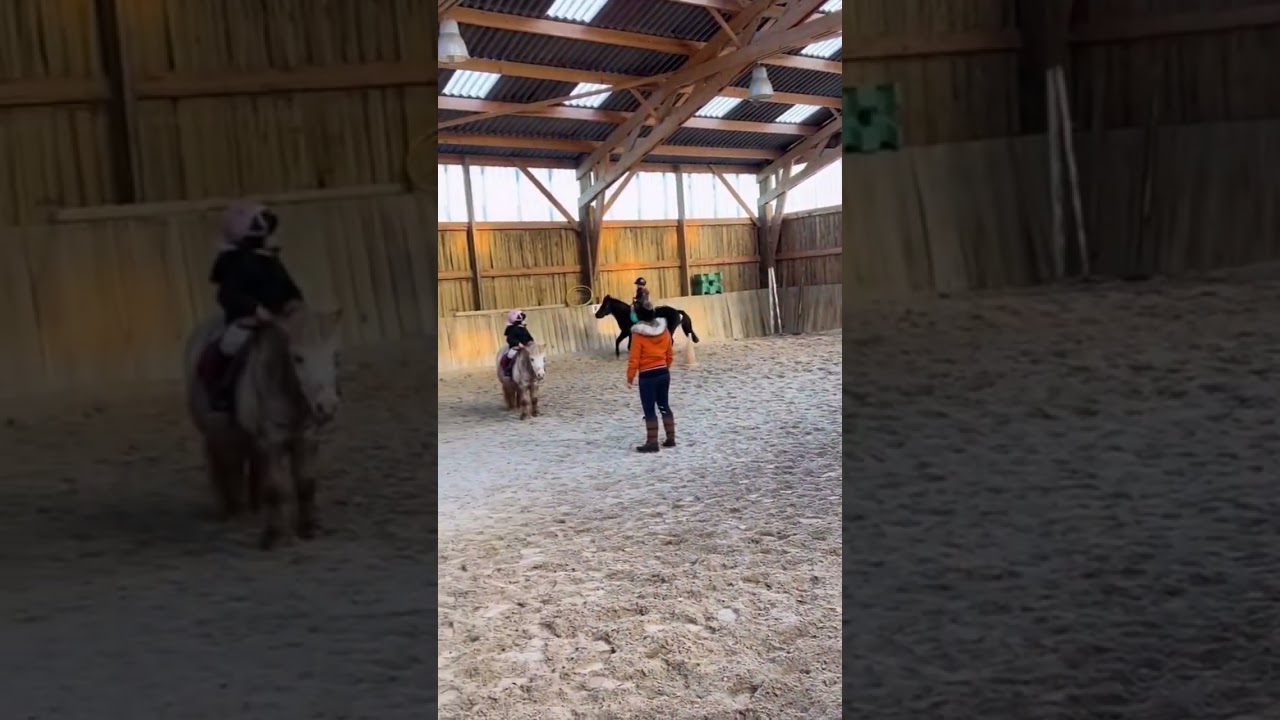 Wenn du deine Kinder für die Reiterferien anmeldest und die Ponys machen was sie wollen