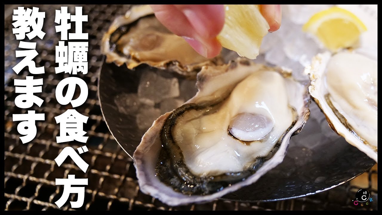 ③【牡蠣祭り】世界一の牡蠣の会社から取り寄せた安心安全で最高に