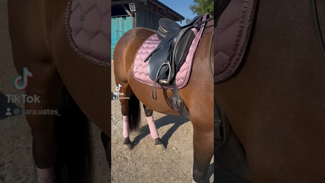 Wer hat denn da bandagiert? 😌Lieber Bandagen oder Gamaschen? ☺️ 