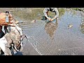 Wild duck trap 100 walang kawala sa lambat  x4 raf hunter ep54  hunting hunter fyp