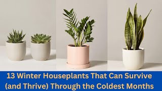 13 Winter Houseplants That Can Survive and Thrive Through the Coldest Months by nsfarmhouse 58 views 5 months ago 2 minutes, 22 seconds