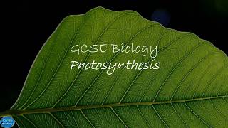 GCSE Biology - Photosynthesis and Leaf Structure (9-1)