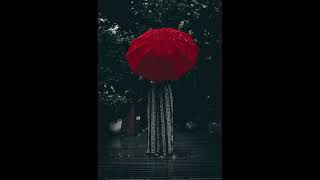 Relaxing & Ambient Instrumental With Beautiful Pictures - Umbrella Ambience☂️🌂 screenshot 4