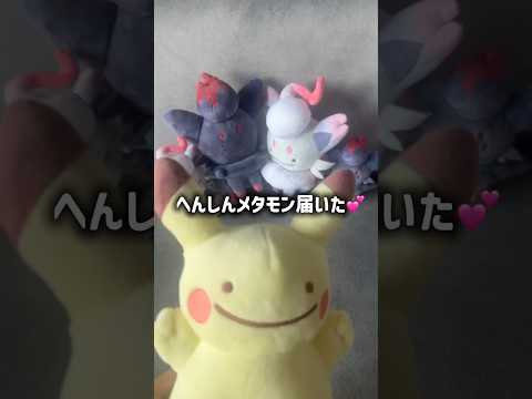 へんしんメタモン💕ポケセンオンラインで購入🎁  #ポケモン #ゾロア #メタモン #ポケセン