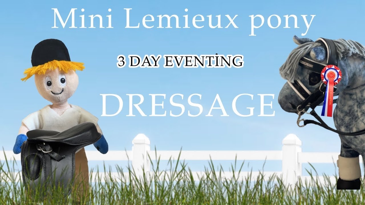 Mini Lemieux Pony 3 DAY EVENTING: day 1 DRESSAGE