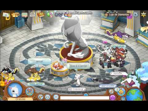 Animal Jam: Especial 100 Inscritos - Comprando a cabra! reggaeton nedir