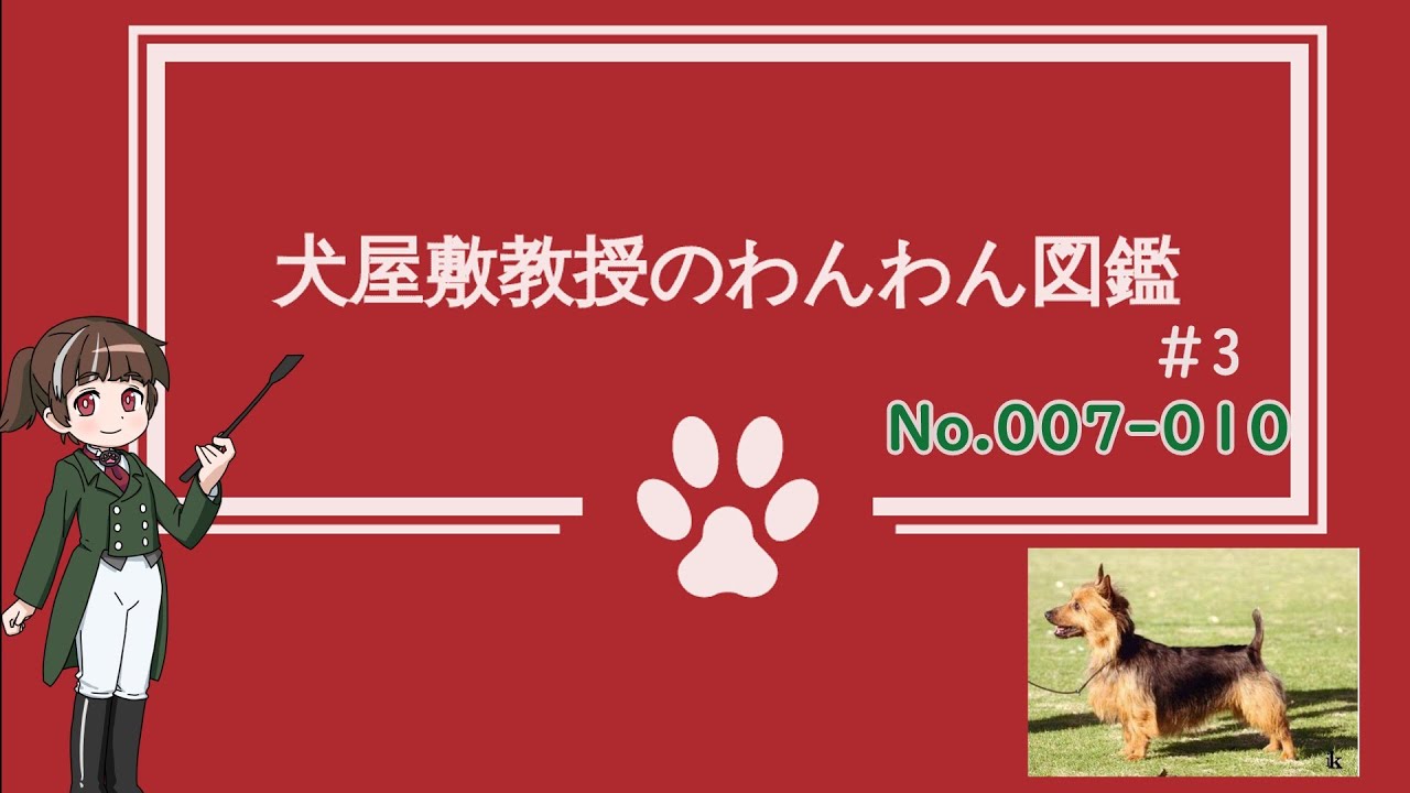 犬種解説 3 犬屋敷教授のわんわん図鑑 No007 010 ソフトウェアトーク解説 Youtube