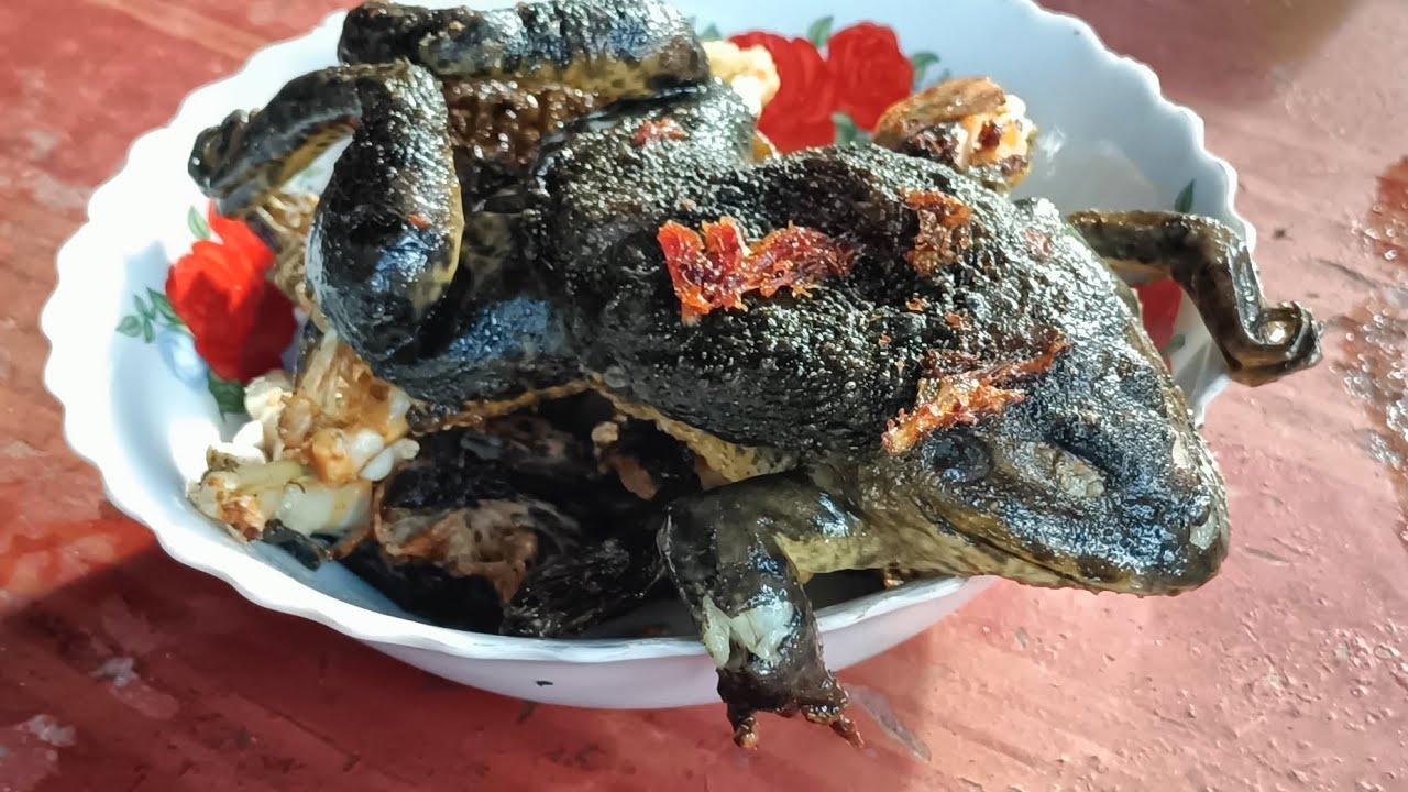 SPECIAL CRISPY SKIN FROG!! Local Food Crispy Frog Field | Tasty Food, cooking in village