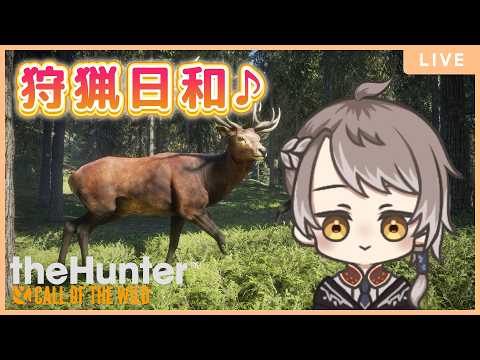 参加型 【 theHunter: Call of the Wild 】デイリーやったり、お散歩したり♪【 #小梟の狩猟生活 / #vtuber 】