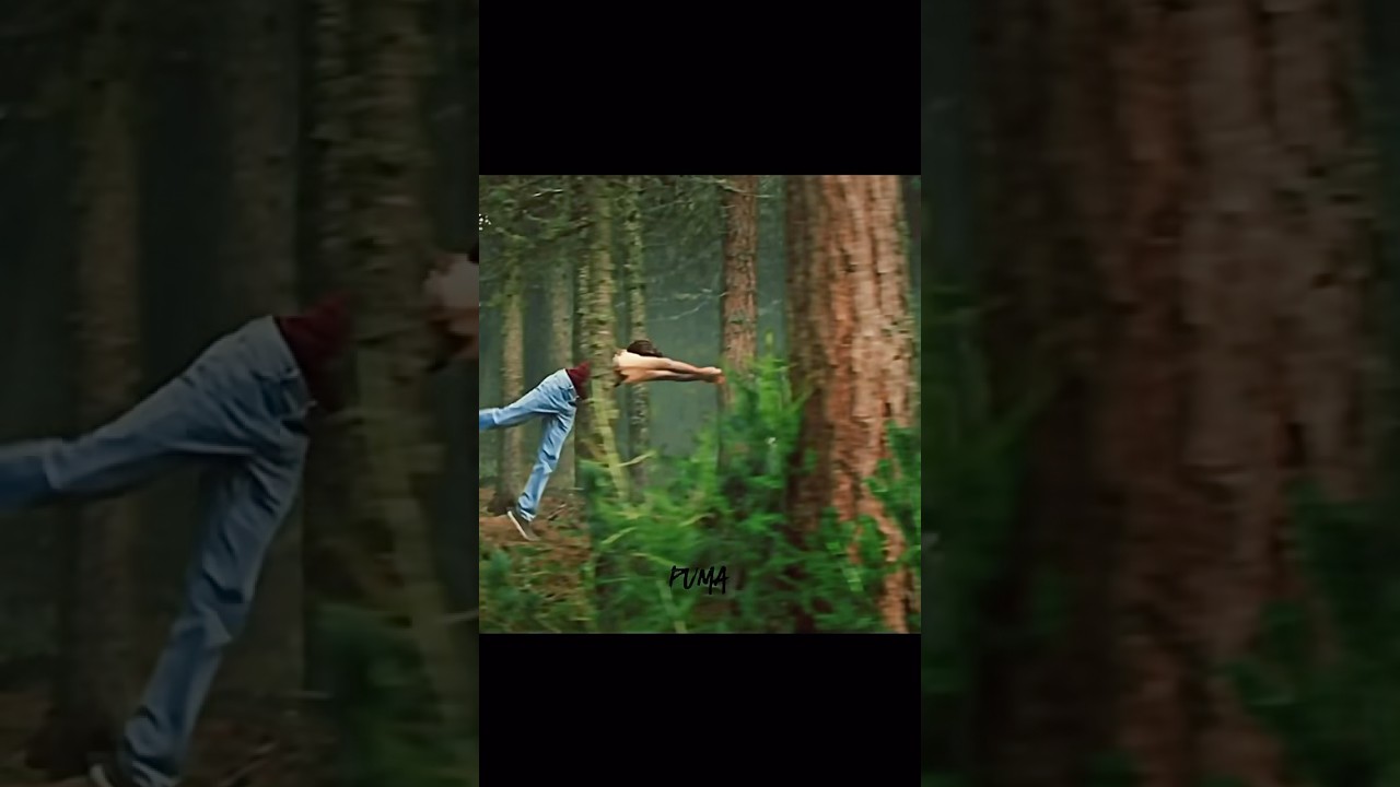 Carag // EDIT // WOODWALKERS // 