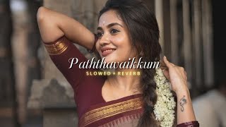 Paththavaikkum | Slowed + Reverb | Deepthi Suresh | Devara | NTR Jhanvi Kapoor 