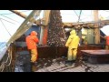 Boomkorvisserij op de Noordzee