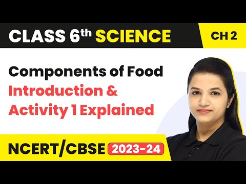 Class 6 Science