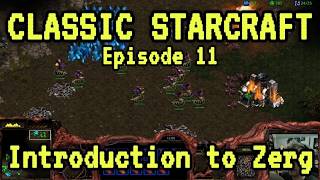 CLASSIC STARCRAFT Ep11 Introduction To The Zerg!