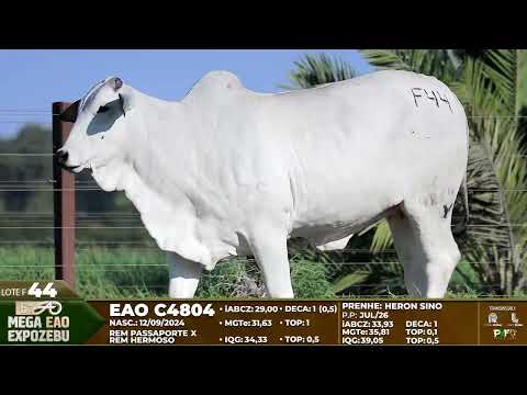 LOTE F44