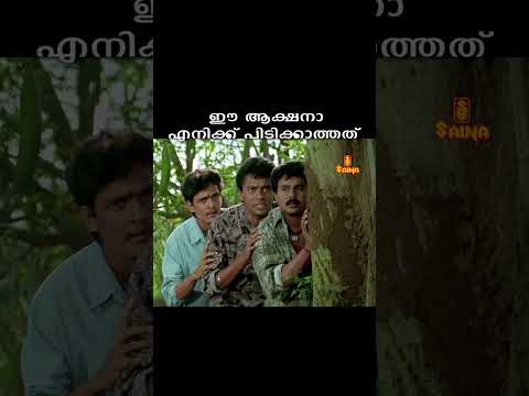 ഈ ആക്ഷനാ എനിക്ക് പിടിക്കാത്തത് | Pranamam Movie | Mammootty