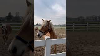 Slow Moments In Arcen