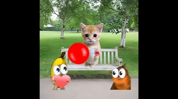 Baby Banana Cat 😺❤️ #catmemes #cat #shorts #fyp #bananacat