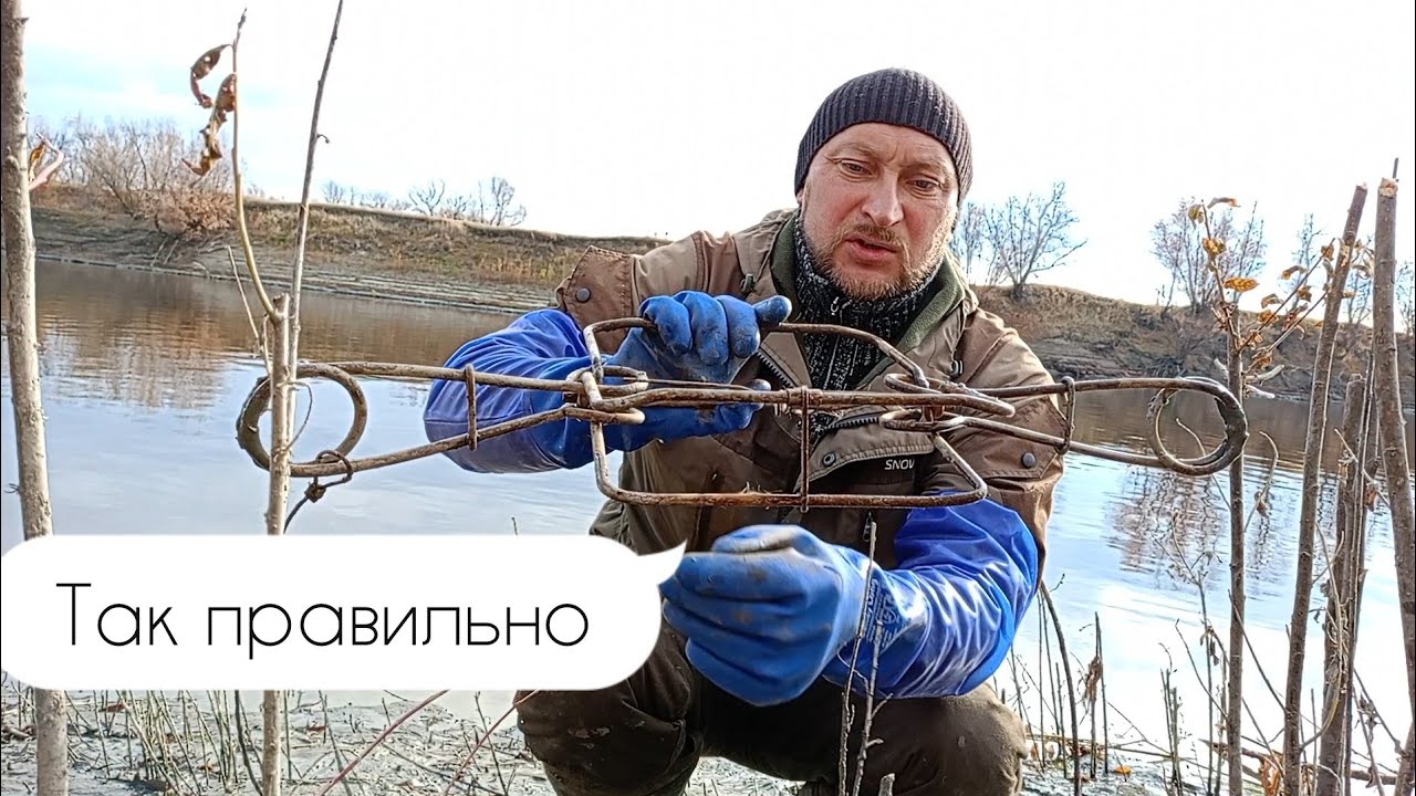 Правильная установка капканов/охота на бобра#охотанабобра#трофейныебобры#охота20242025