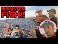 You wont believe what bait we used to catch these bass grouper  s8 ep3 whangaroa